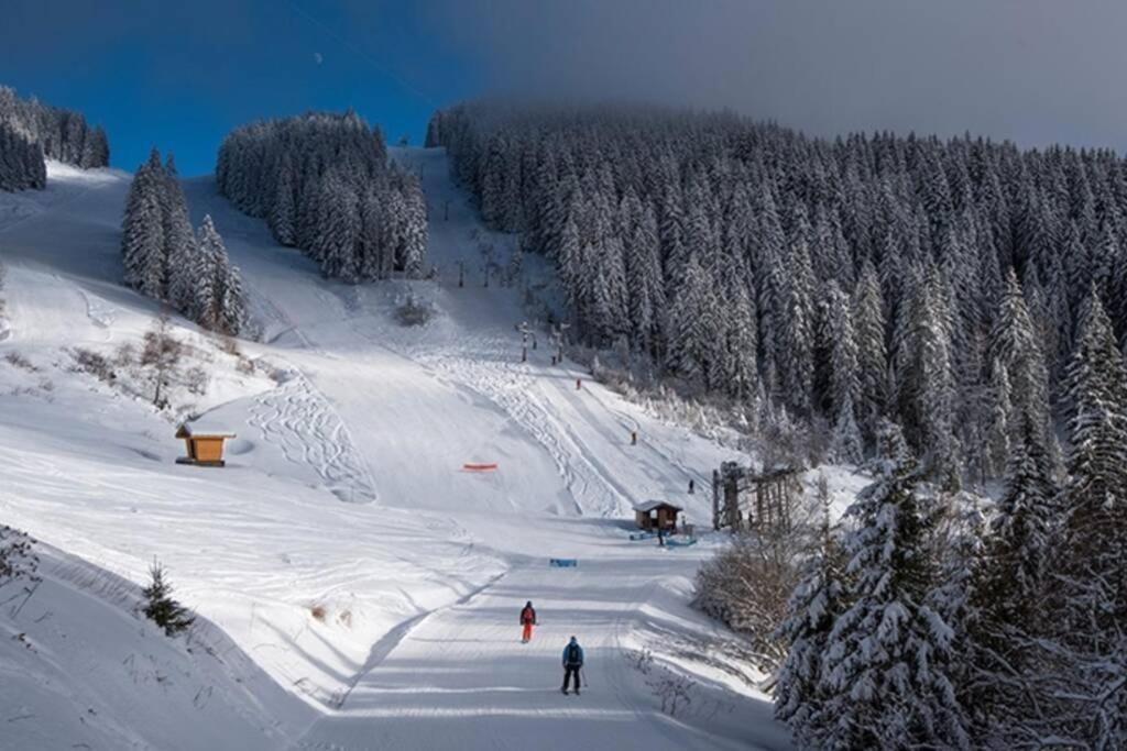 Le Relai S31 - Grand et lumineux studio avec coin montagne 4-6 pers, tout équipé, avec WIFI, à 30m des pistes avec un grand balcon, DRAPS NON COMPRIS Saint-Jean-dʼAulps Esterno foto